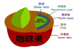 德文部落創生新願景-德文咖啡產業振興計畫.png