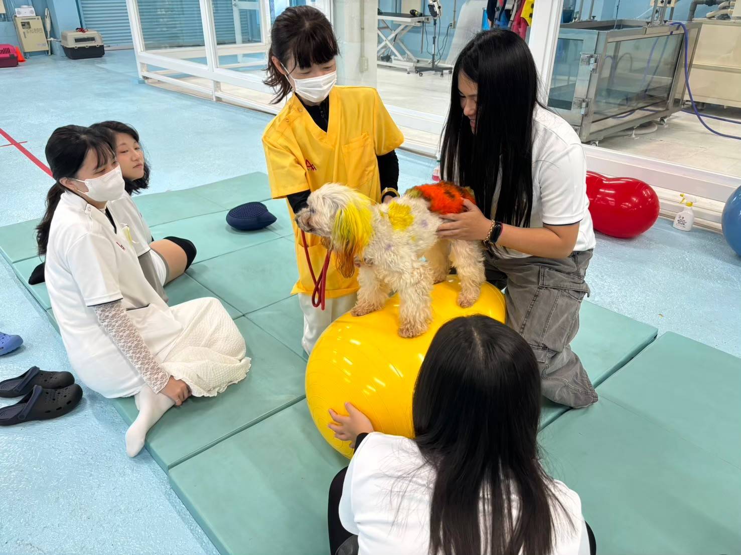海外移地學習—日本國佐山学園見習計畫 (2).jpg