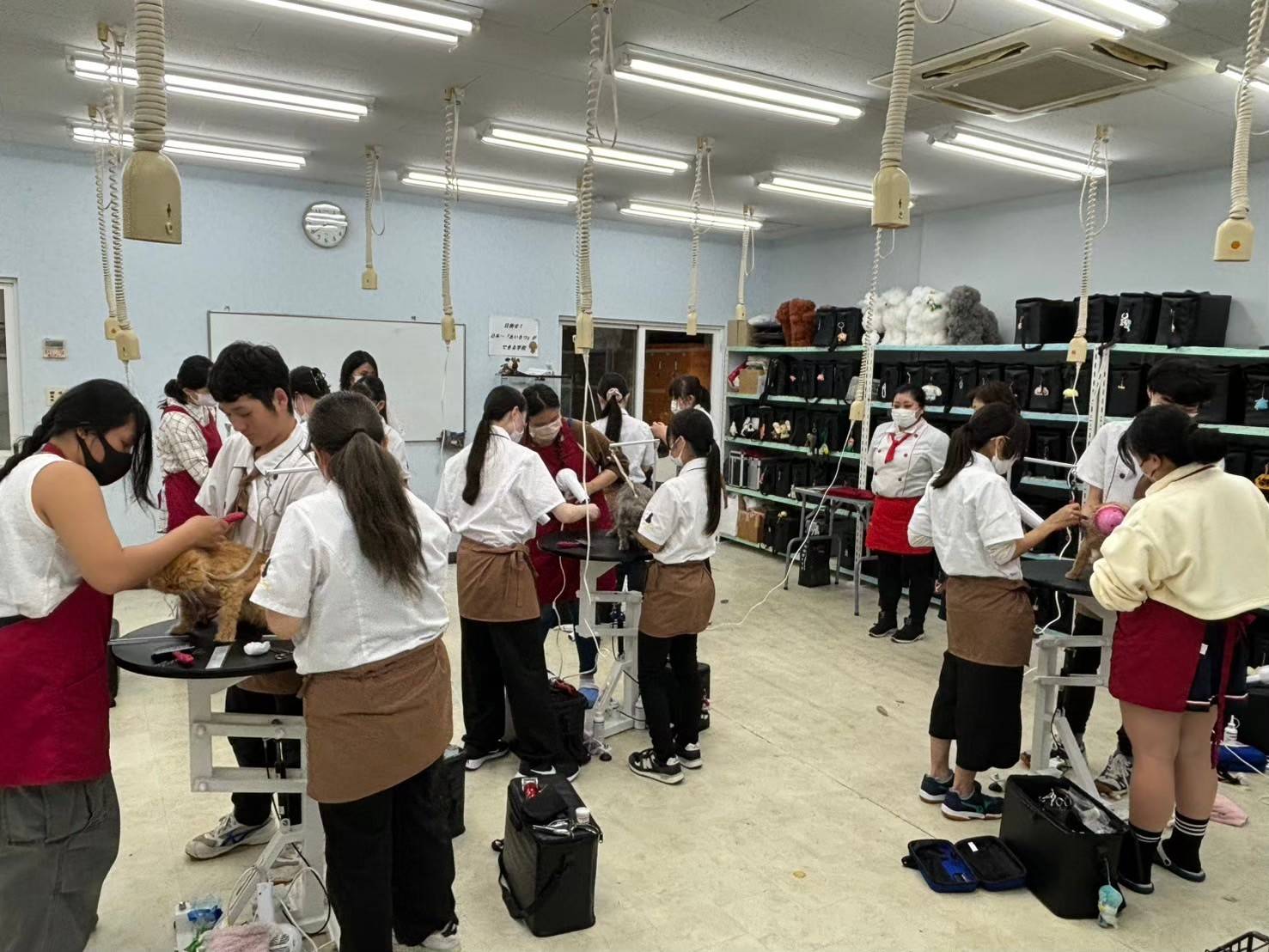 海外移地學習—日本國佐山学園見習計畫 (3).jpg