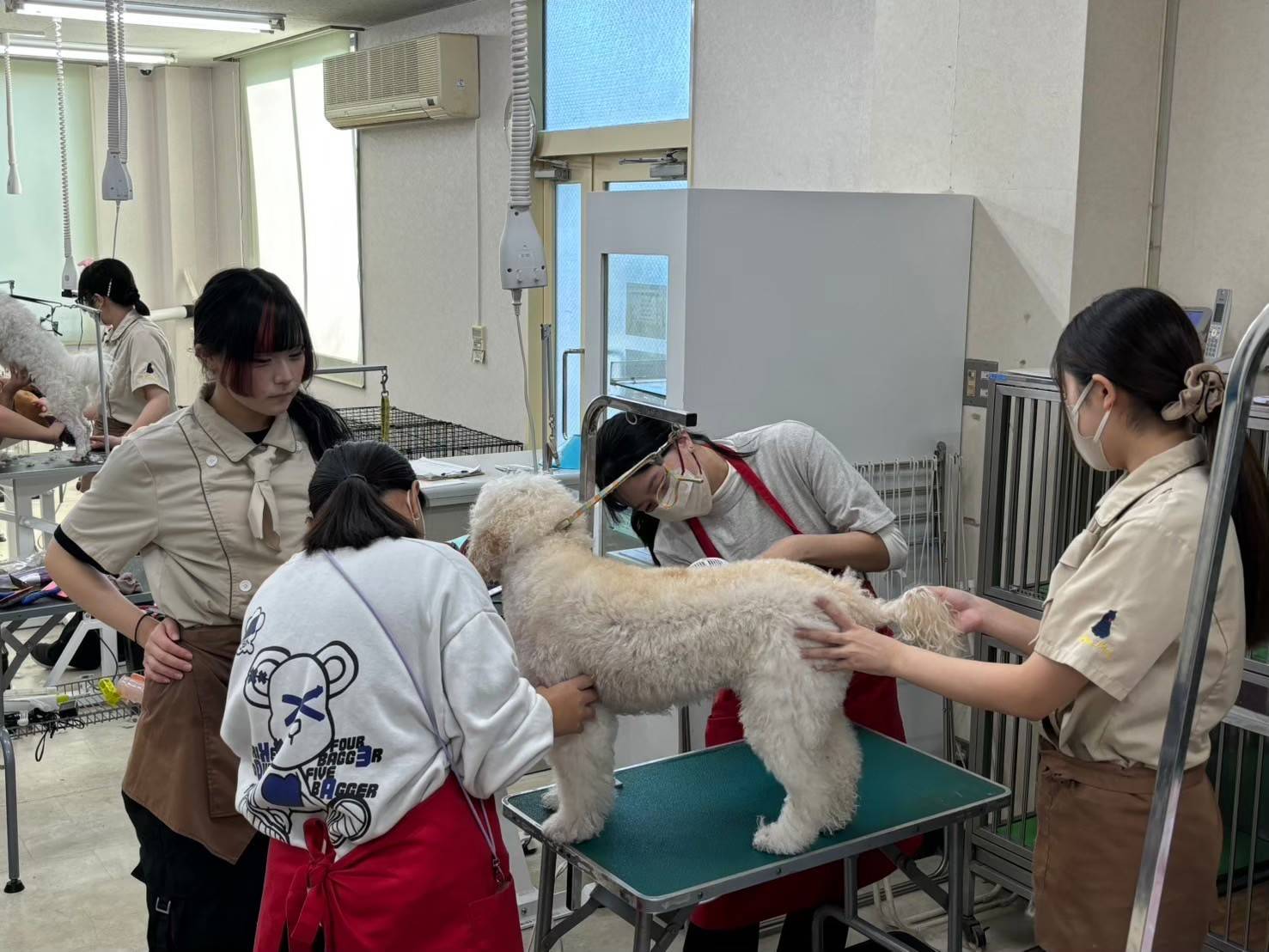 海外移地學習—日本國佐山学園見習計畫.jpg