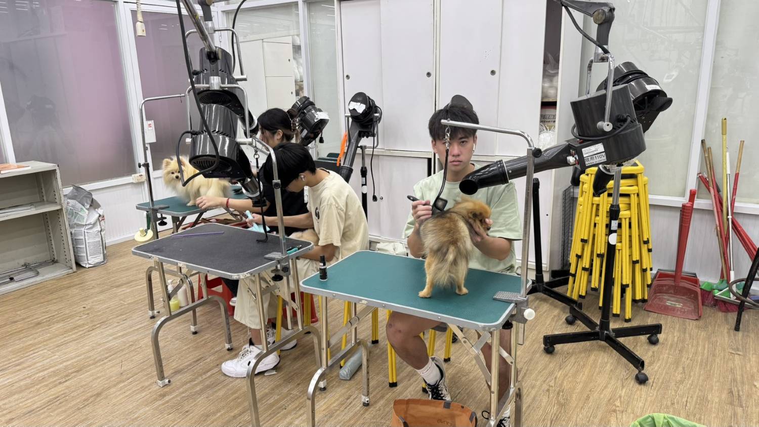 8-89寵美系-勞動部寵物美容丙級輔導班-照片1
