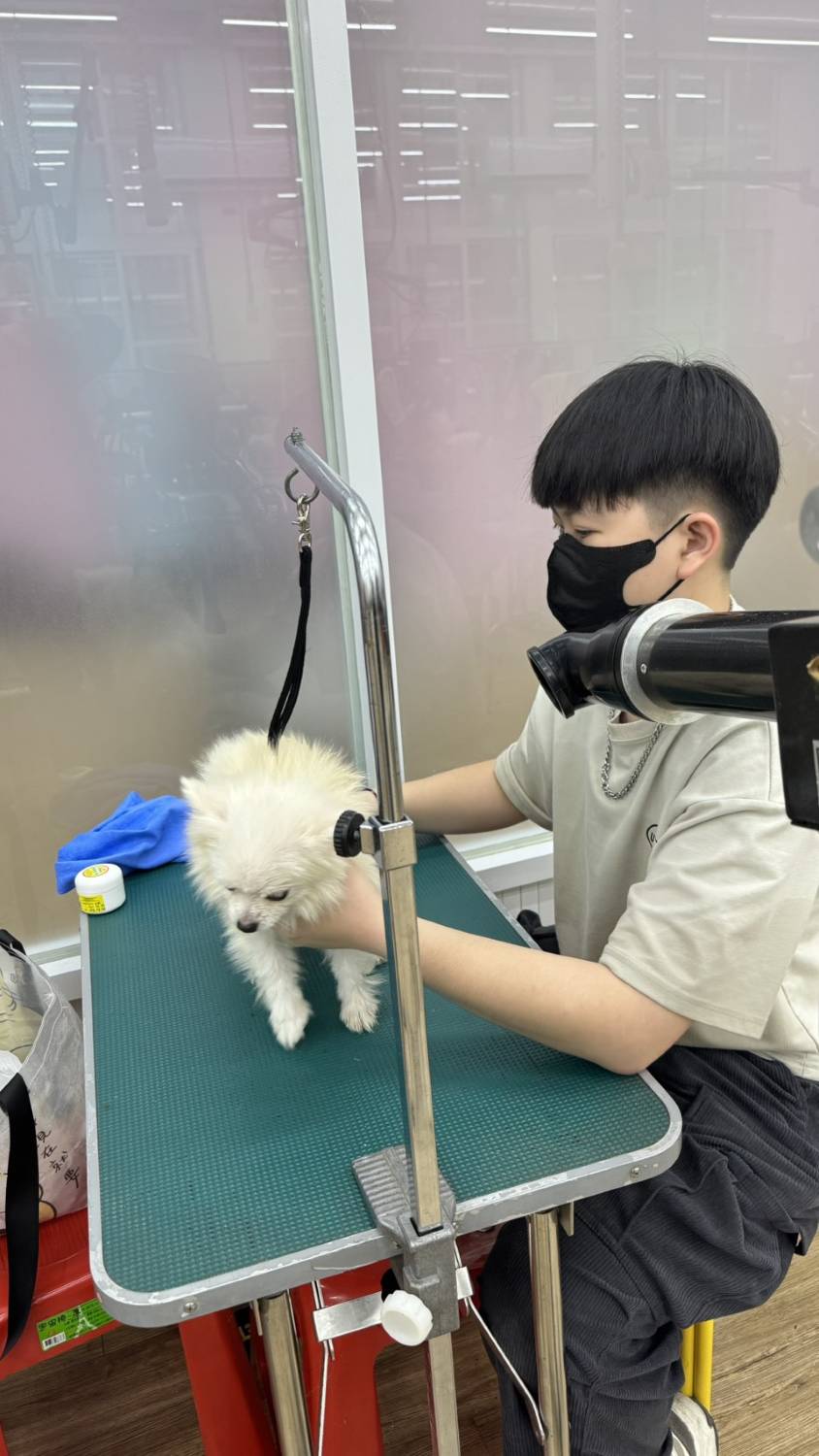 8-89寵美系-勞動部寵物美容丙級輔導班-照片2